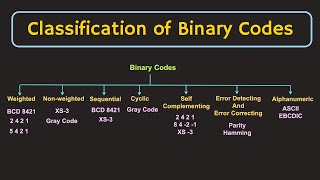 Binary Codes Classification of Binary Codes Explained [upl. by Rolo790]