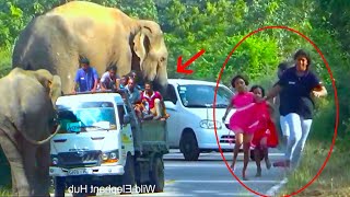 Escaping A Wild Elephant Shocking Footage Of Families And Passengers Fighting For Survival [upl. by Aifos859]