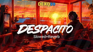 Despacito  SlowedReverb  DEXQ59 [upl. by Solitta]