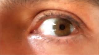 The Best Colored Contacts Hazel New Natural Brand [upl. by Amethist]