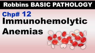 Ch12  Immunohemolytic Anemia  Coomb Test  Warm and Cold Antibodies Blood Pathology [upl. by Lenci]