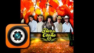 Entonces Que Somos  Grupo Flor De Otoño Audio Oficial [upl. by Nnyre]