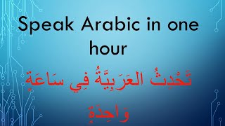 learn Arabic while you drive speak Arabic in one hour [upl. by Mallorie]