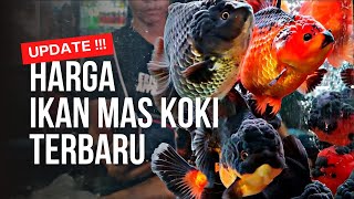 MULAI DARI 25 RIBU BISA BAWA MAS KOKI CANTIK  UPDATE HARGA IKAN MAS KOKI DI PASAR PARUNG TERBARU [upl. by Lonergan]