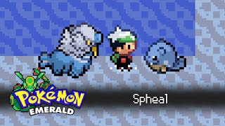 CÓMO CONSEGUIR a SPHEAL en POKÉMON ESMERALDA WALREIN [upl. by Oiziruam]