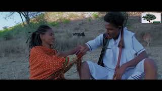 New Eritrea music bline By Omer Amer  Cheberile ZEBIBA 2023 [upl. by Amasa]