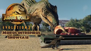 Moros Intrepidus Showcase JWE 2 [upl. by Berga]