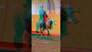 His trot OMG❤️ horse horsey equestrian equestrianvibes blowup riding pony dressage ponyedit [upl. by Arelus]