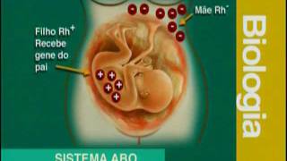 A 07  Sistema ABO e RH  Biologia  Vestibulando Digital [upl. by Harahs]