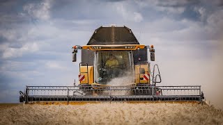 Moisson des BLÉS 2024 🌾 avec Baptiste et sa NH CX 870 🐝 [upl. by Jaella]