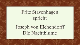 Joseph von Eichendorff „Die Nachtblumequot I [upl. by Winfield]