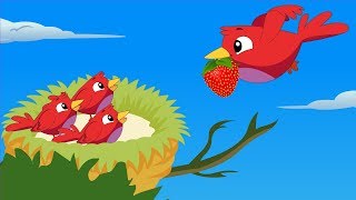 Bird Story  The Moral Story for Kids  Nursery Rhyme and Kids Songs [upl. by Nally]