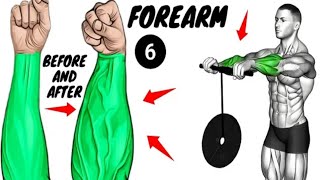 6 Best Exercises for Bigger Forearms  6 min a day to Improve Your Forearms forearmworkout [upl. by Atinwahs]