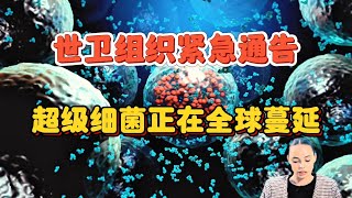 全球健康面临新威胁：高毒力超级细菌来袭，抗生素耐药性危机迫在眉睫！ [upl. by Ahens]