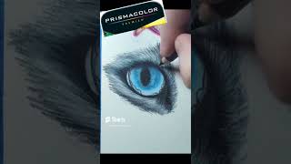 🐱👁️  Cat Eye Doodle 2  realistic drawing art timelapse coloredpencils [upl. by Nyhagen]