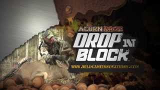 Acorn Rage Drop N Block [upl. by Nalek658]