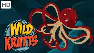 Wild Kratts  Best Season 1 Moments Part 8  Kids Videos [upl. by Mitchell445]