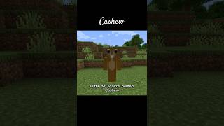 Cashew minecraft peanutthesquirrel gaming [upl. by Llenor906]