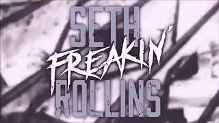 Seth Rollins ThemeTitantron 2017 HD [upl. by Ahsia7]