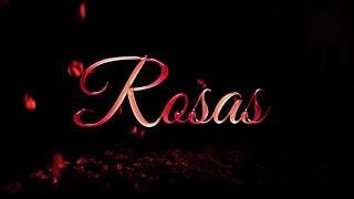 Grupo Arriesgado  Rosas Lyrics Video [upl. by Sneed698]