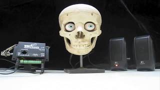 Talking Skulls Sound Activated Halloween Prop Powered by PicoTalk [upl. by Sirama]