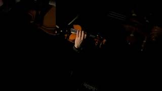 Hungarian Dance no5 violinmusic brahms [upl. by Eyak457]