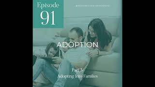 Episode 91 Adoption Part 3 [upl. by Acinom]