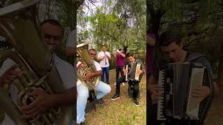 Solo clarinete trombone junto com tuba acordeon musica tuba music tubaplayer [upl. by Enwahs]