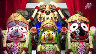 Dayakara Dinabandhu Popular Jagannath Bhajan Devotional Bhakti Odia Bhajan [upl. by Osher]