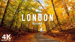 Autumn in London 4K Video  Wandering Through Londons Streets in Autumn  Capital of England [upl. by Ainerol620]