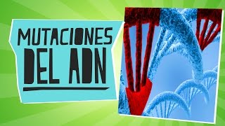 Las mutaciones del ADN  Biología  Educatina [upl. by Portland]