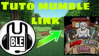 CONFIGURER MUMBLE LINK SUR MINECRAFT EN 2021 [upl. by Klemens]