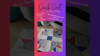 Quick Quilt w Build A Quilt shorts buildaquilt rileyblakedesigns freequiltpattern quilt [upl. by Ainola]