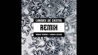 Larmes de Cristal Remix  Marise Demers et Francis Leclerc [upl. by Sihtam]