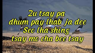 Zu zay pa  kinley tshering  Dechen Pem  Bhutanese karaoke song with lyrics [upl. by Nirej612]