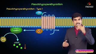 Pseudohypoparathyroidism  Part 1  Pathology [upl. by Eniad514]