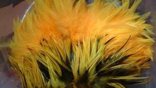 How to Dye Feathers Sunburst with Davie McPhail [upl. by Ttreve]