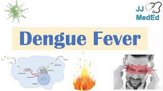 Dengue Fever  Pathophysiology Symptoms Diagnosis amp Treatment [upl. by Akcimahs]