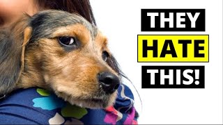 7 THINGS Dogs Hate That Humans Do [upl. by Wheelwright]