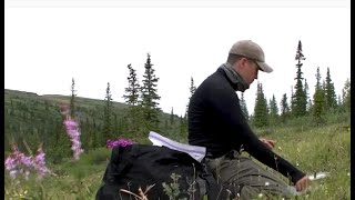 Exploration de la biodiversité végétale le long de la rivière Coppermine au Nunavut [upl. by Arrakat]