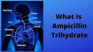 What Is Ampicillin Trihydrate [upl. by Rexana486]