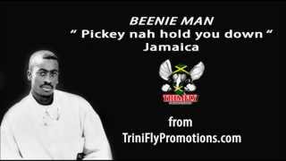 Beenie Man  Pickney nah Hold me down [upl. by Burdett]