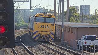 Pacific National 8113 8125 T134 Cement trip train Lidcombe [upl. by Aniakudo77]