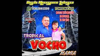 MIX TROPICAL VOCHOMANIA [upl. by Buell]