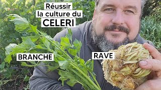 Comment cultiver le CELERI RAVE ou le CELERI BRANCHE 『TUTO』 [upl. by Ebenezer]