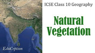 NATURAL VEGETATION  ICSE Class 10 Geography [upl. by Morgun]