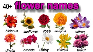 flower namesflowersflowers name with picture flower name spellings flower imeges [upl. by Karla446]