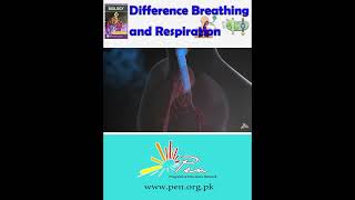 Difference Breathing and Respiration I Learn the difference between respiration and breathing [upl. by Lucas]