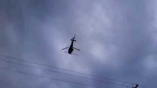 Gypsy Moth Chemical Spraying From Chopper Helicopter in Surrey BC Canada vancouver [upl. by Eugenle601]