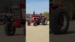 INTERNATIONAL 1466 TRACTOR [upl. by Sewole]